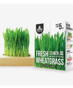 貓草新鮮栽培盒-貓咪生菜