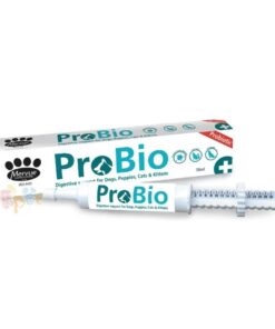 Mervue - Pro-Bio 胃腸爽益生菌康復凝膏 30ml (適用於肚瀉/轉糧/食藥/驅蟲/中毒的腸胃不適）