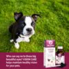 Naturpet Vision Care 視力保健 （獸醫認證