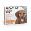 Frontline Plus - Dog 蚤不到殺蝨滴 中型犬加強版 (M: 10-20kg) 新包裝 {原裝行貨}