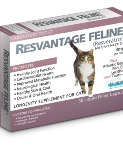RESVANTAGER for cats - 貓貓維蘆醇-白藜蘆醇 30粒 原裝行貨